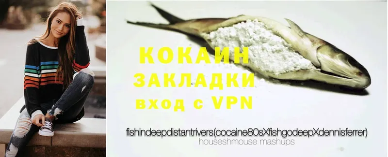 цена   Геленджик  ОМГ ОМГ как войти  Cocaine Fish Scale 